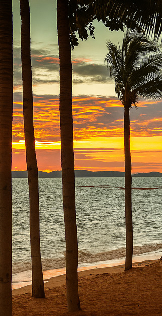 Shade Marketing picture of pattaya beach